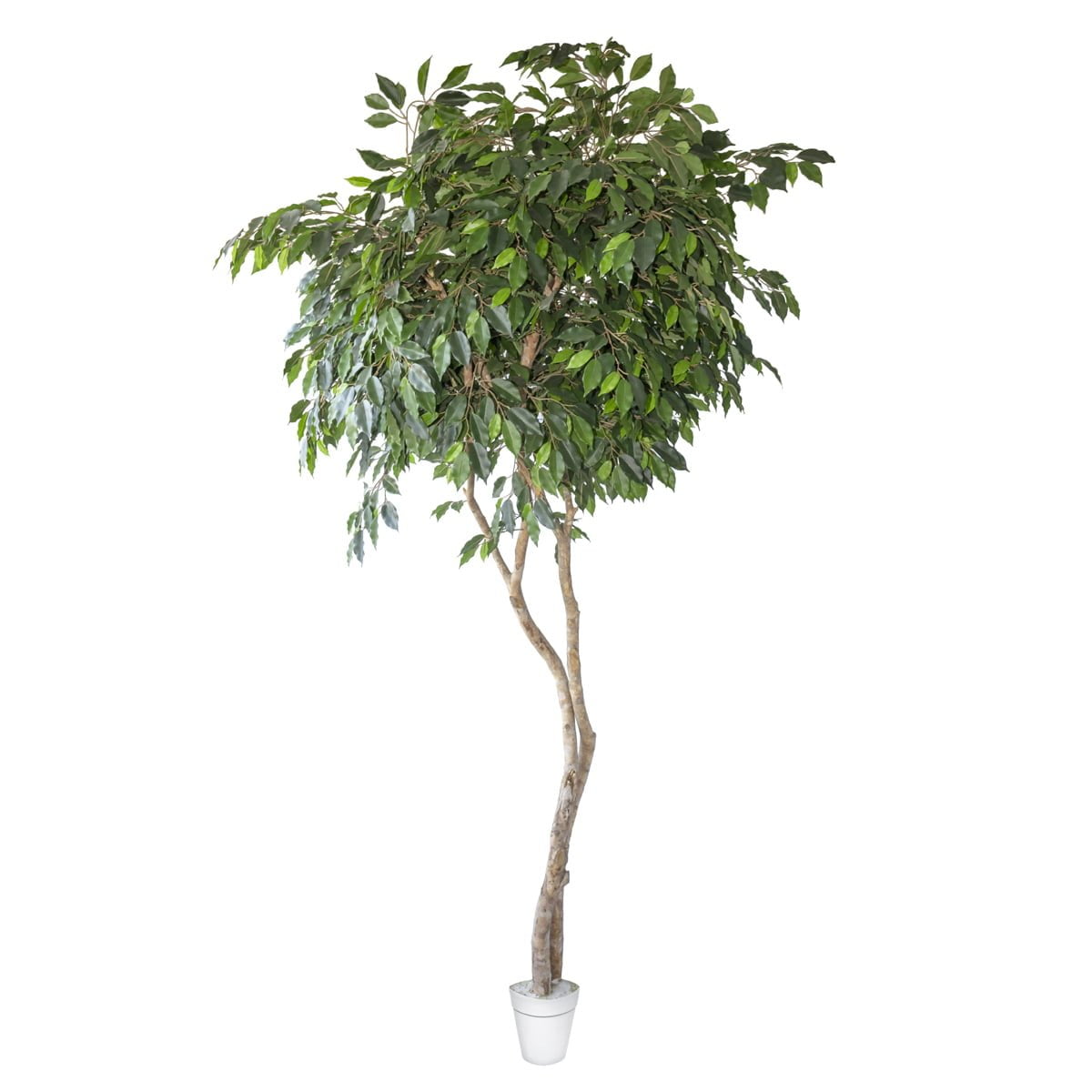 noleggio fiori piante artificiali finte allestimenti eventi vicenza padova verona fioreria decorazioni arredi